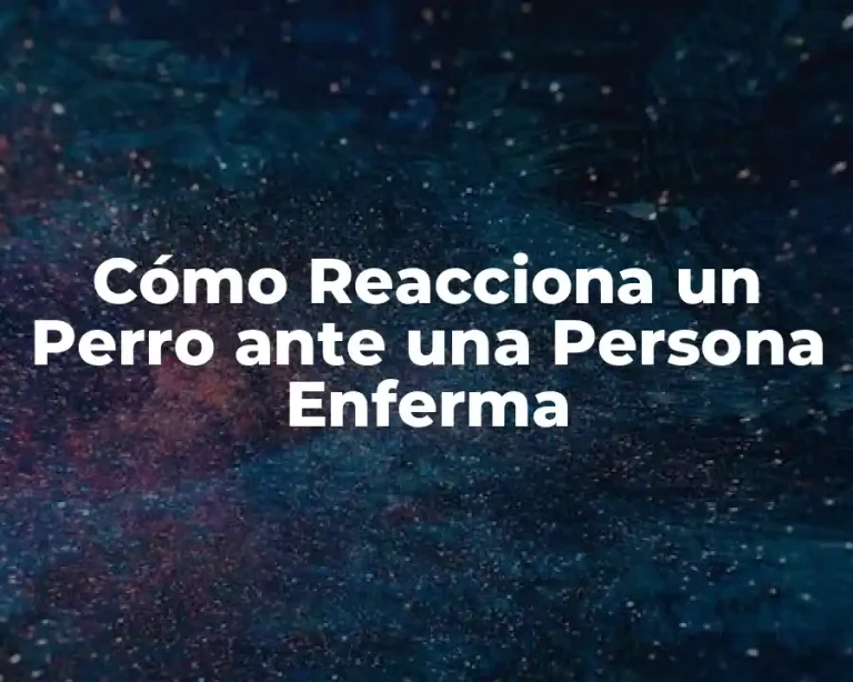 Cómo Reacciona un Perro ante una Persona Enferma