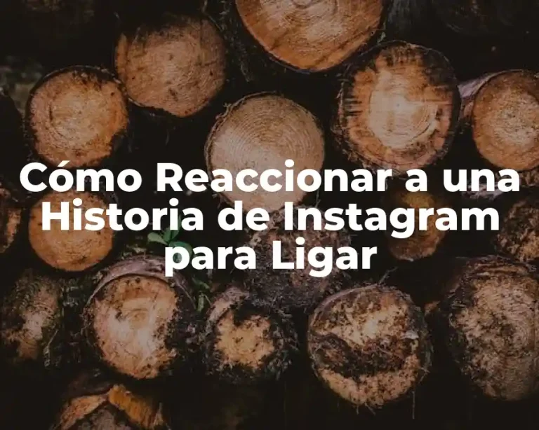 Cómo Reaccionar a una Historia de Instagram para Ligar