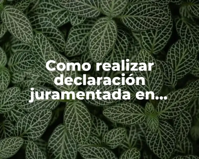 Como realizar declaración juramentada en Ecuador