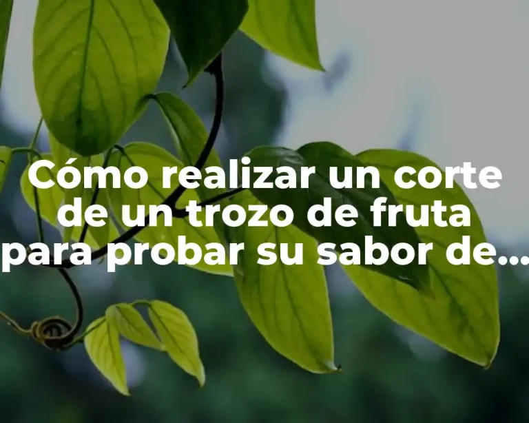 Cómo realizar un corte de un trozo de fruta para probar su sabor de forma efectiva