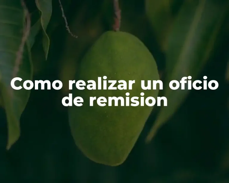Como realizar un oficio de remision