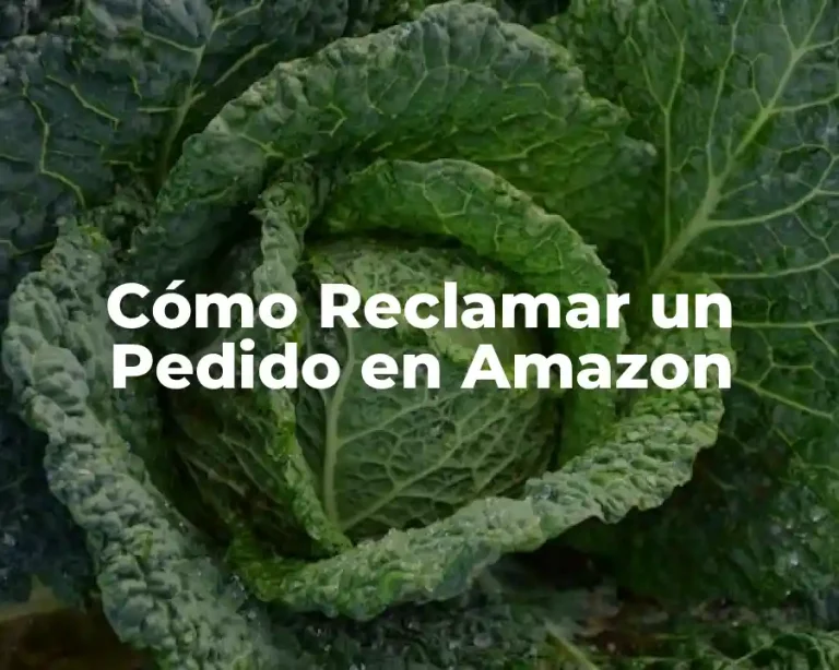 Cómo Reclamar un Pedido en Amazon