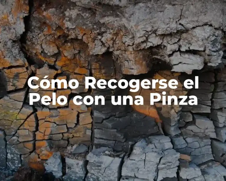 Cómo Recogerse el Pelo con una Pinza