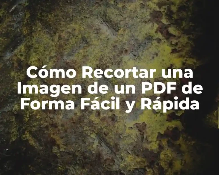 Cómo Recortar una Imagen de un PDF de Forma Fácil y Rápida
