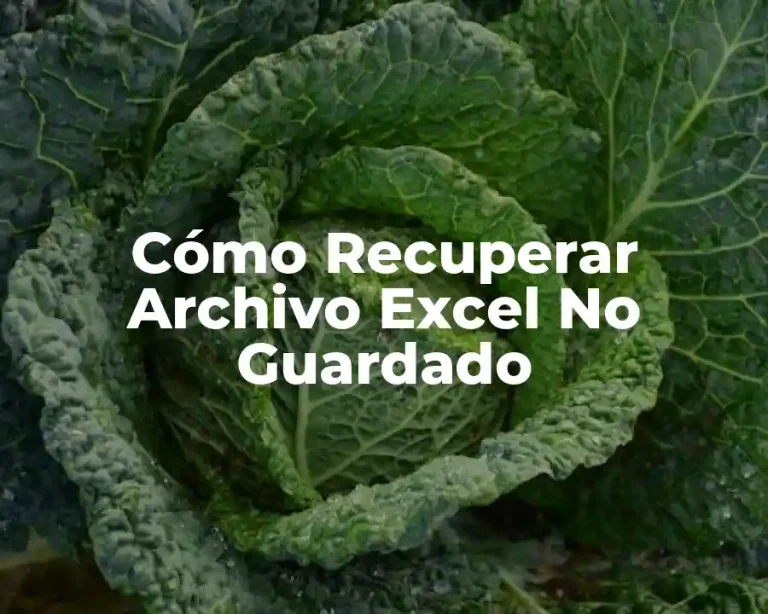 Cómo Recuperar Archivo Excel No Guardado