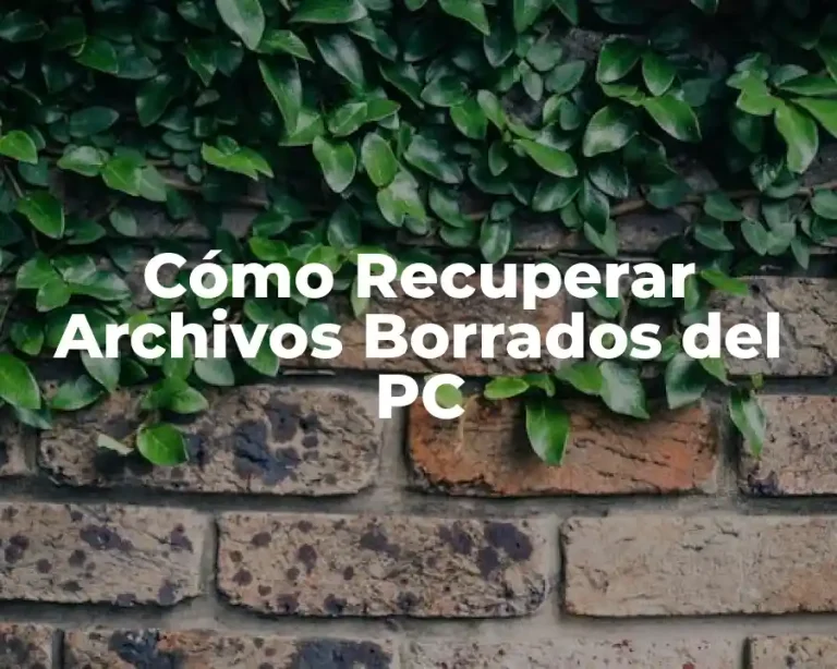 Cómo Recuperar Archivos Borrados del PC