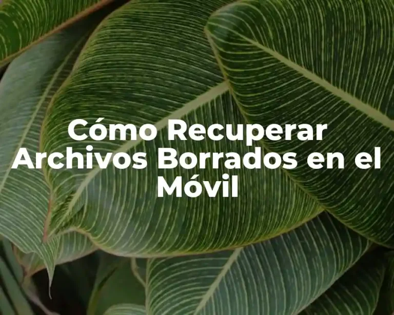 Cómo Recuperar Archivos Borrados en el Móvil