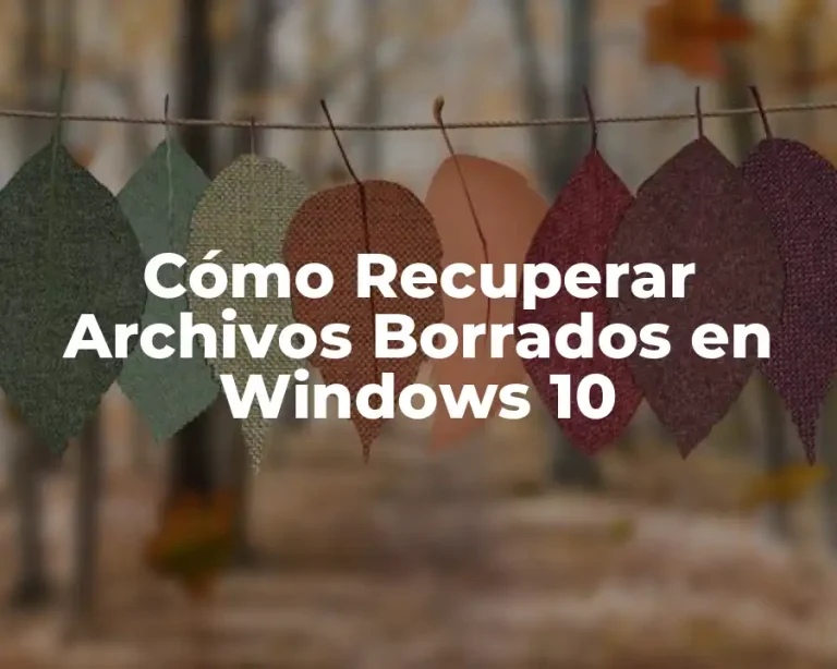 Cómo Recuperar Archivos Borrados en Windows 10