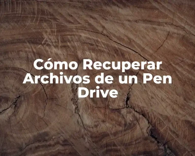 Cómo Recuperar Archivos de un Pen Drive