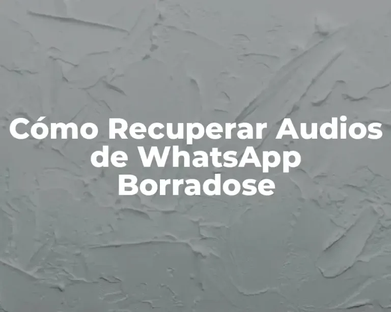 Cómo Recuperar Audios de WhatsApp Borradose
