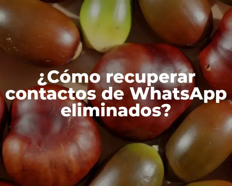 ¿Cómo recuperar contactos de WhatsApp eliminados?