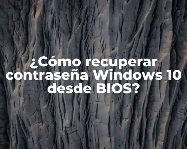 ¿Cómo recuperar contraseña Windows 10 desde BIOS?