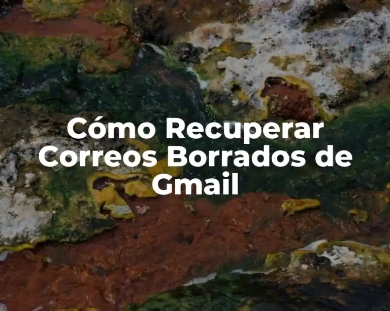 Cómo Recuperar Correos Borrados de Gmail