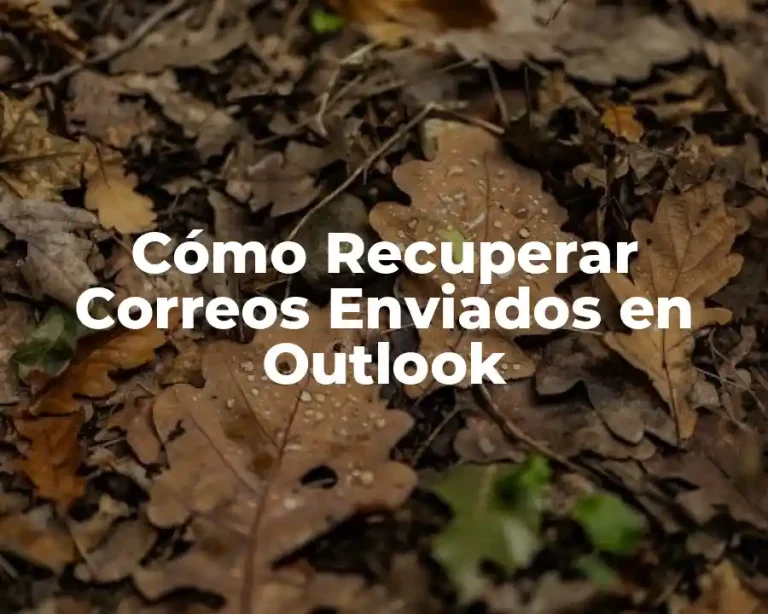 Cómo Recuperar Correos Enviados en Outlook