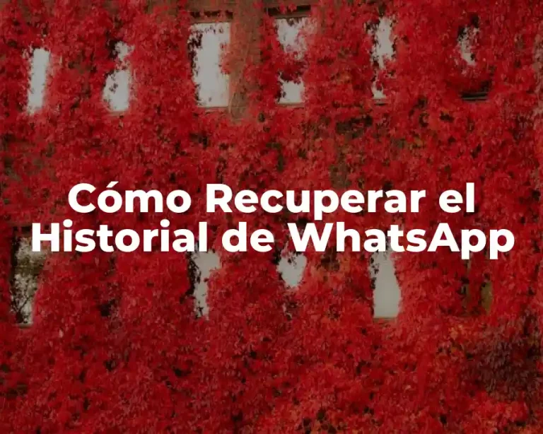 Cómo Recuperar el Historial de WhatsApp