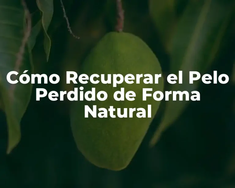 Cómo Recuperar el Pelo Perdido de Forma Natural