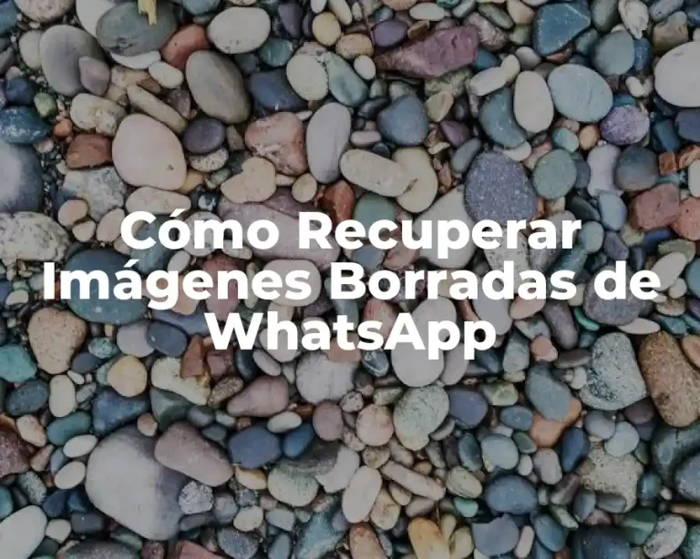 Cómo Recuperar Imágenes Borradas de WhatsApp