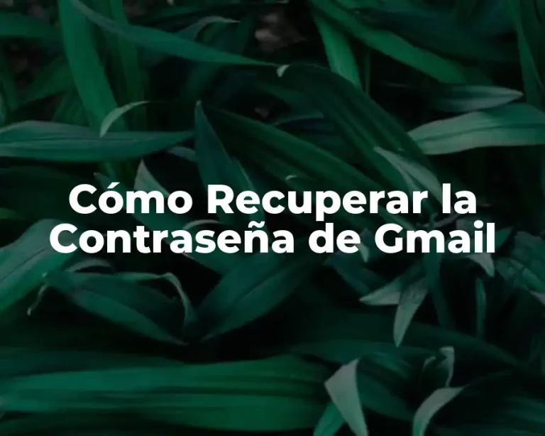 Cómo Recuperar la Contraseña de Gmail