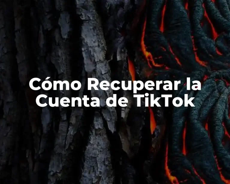 Cómo Recuperar la Cuenta de TikTok