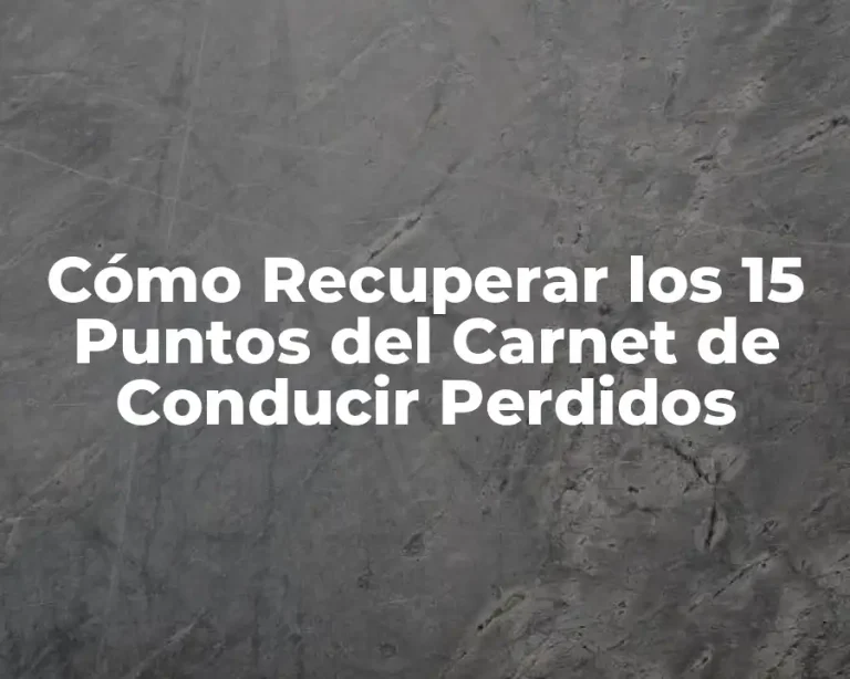 Cómo Recuperar los 15 Puntos del Carnet de Conducir Perdidos