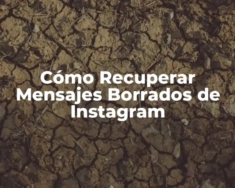 Cómo Recuperar Mensajes Borrados de Instagram