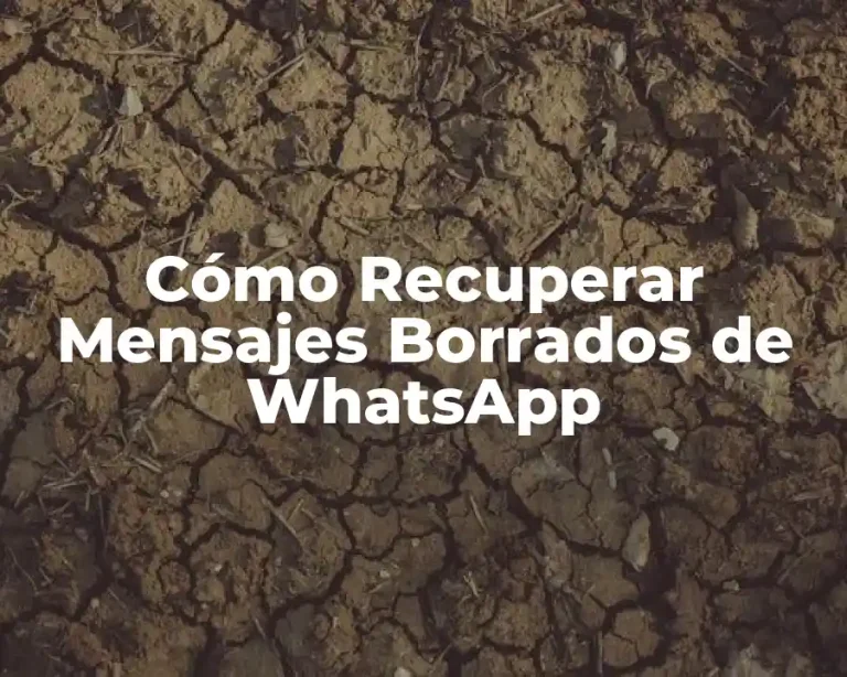 Cómo Recuperar Mensajes Borrados de WhatsApp