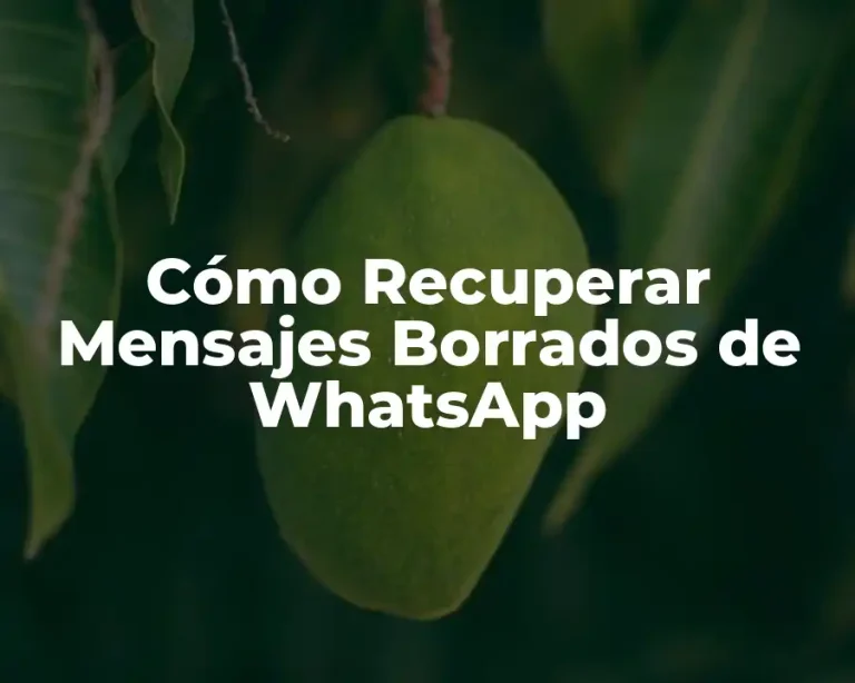 Cómo Recuperar Mensajes Borrados de WhatsApp