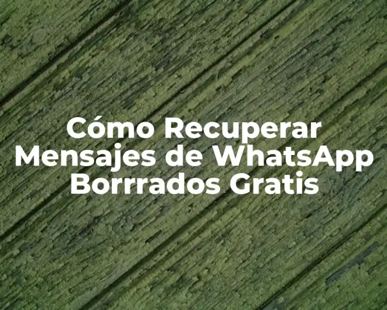 Cómo Recuperar Mensajes de WhatsApp Borrrados Gratis
