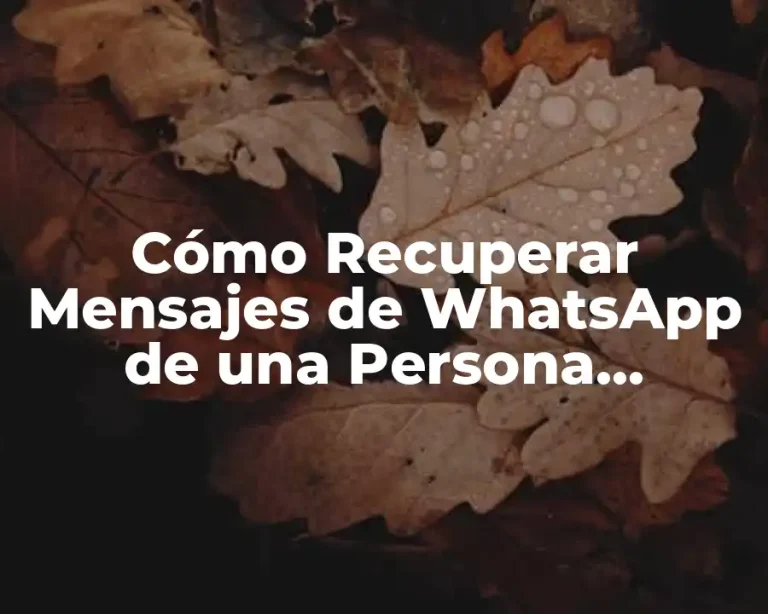 Cómo Recuperar Mensajes de WhatsApp de una Persona Bloqueada