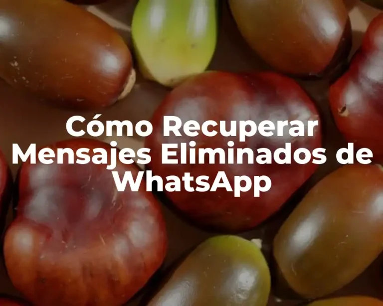 Cómo Recuperar Mensajes Eliminados de WhatsApp