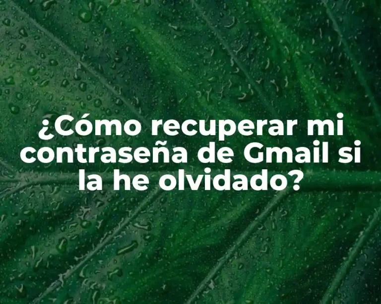 ¿Cómo recuperar mi contraseña de Gmail si la he olvidado?