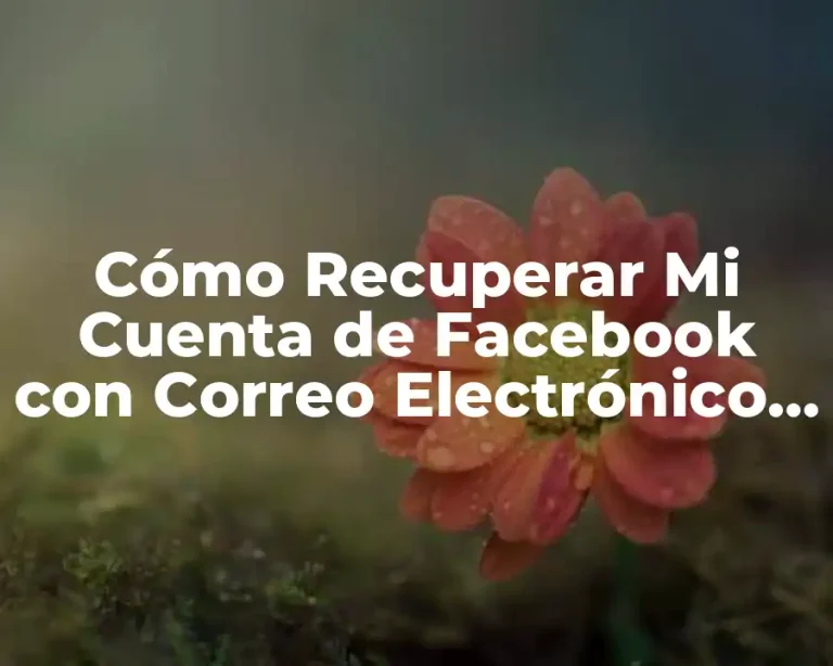 Cómo Recuperar Mi Cuenta de Facebook con Correo Electrónico Perdido o Olvidado