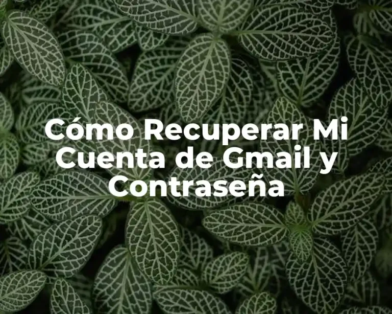 Cómo Recuperar Mi Cuenta de Gmail y Contraseña