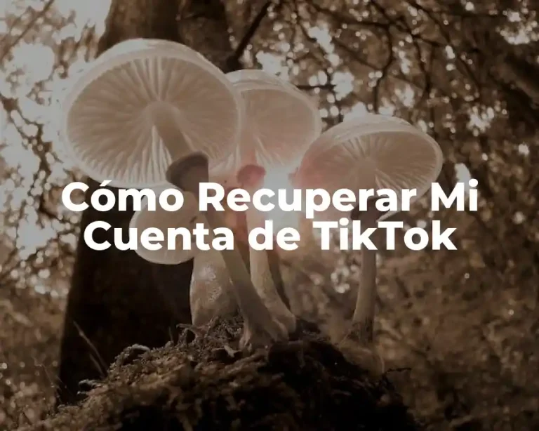 Cómo Recuperar Mi Cuenta de TikTok