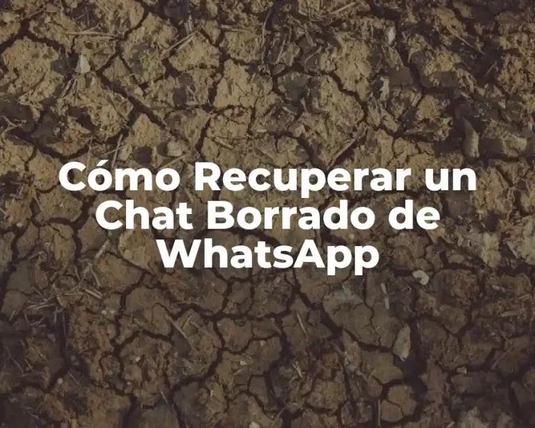 Cómo Recuperar un Chat Borrado de WhatsApp