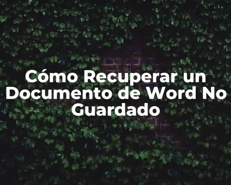 Cómo Recuperar un Documento de Word No Guardado