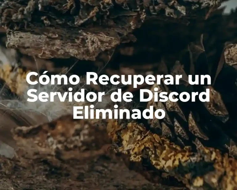 Cómo Recuperar un Servidor de Discord Eliminado