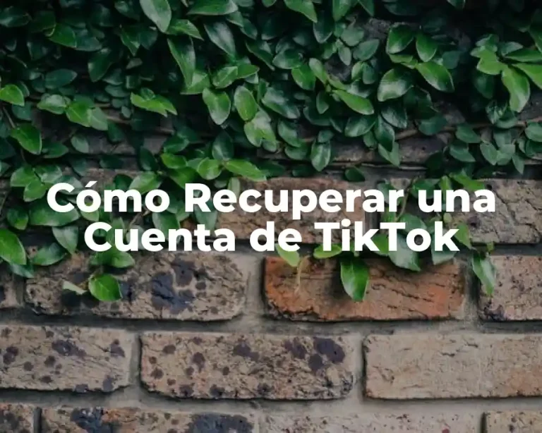 Cómo Recuperar una Cuenta de TikTok