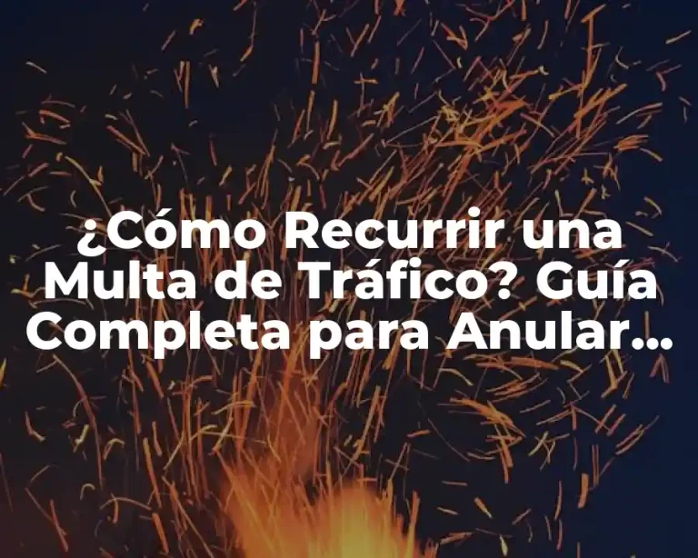 ¿Cómo Recurrir una Multa de Tráfico? Guía Completa para Anular una Sanción