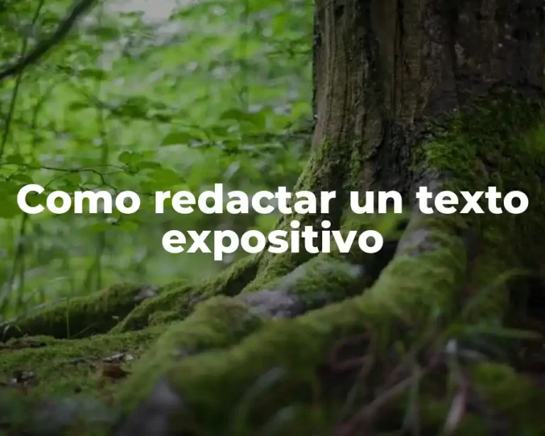Como redactar un texto expositivo