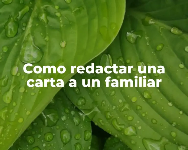 Como redactar una carta a un familiar