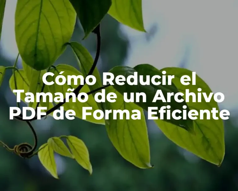 Cómo Reducir el Tamaño de un Archivo PDF de Forma Eficiente