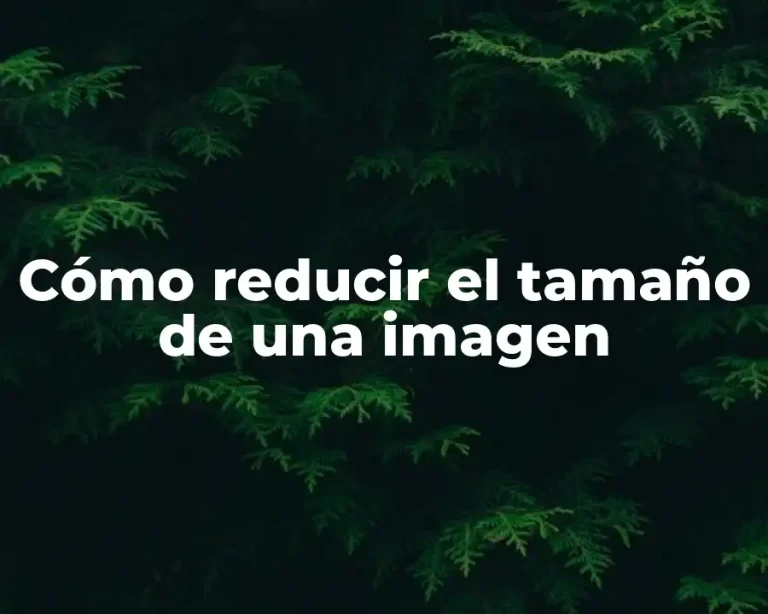 Cómo reducir el tamaño de una imagen