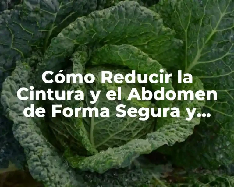 Cómo Reducir la Cintura y el Abdomen de Forma Segura y Eficaz