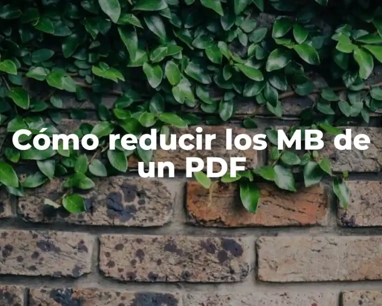 Cómo reducir los MB de un PDF
