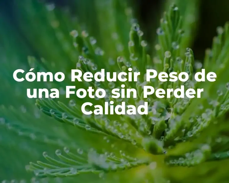 Cómo Reducir Peso de una Foto sin Perder Calidad