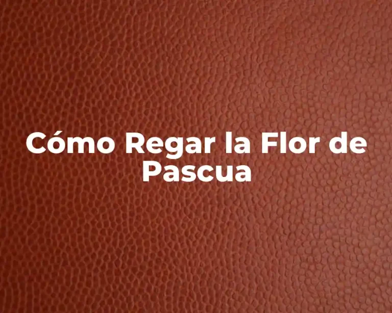 Cómo Regar la Flor de Pascua