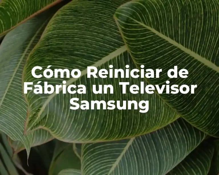 Cómo Reiniciar de Fábrica un Televisor Samsung