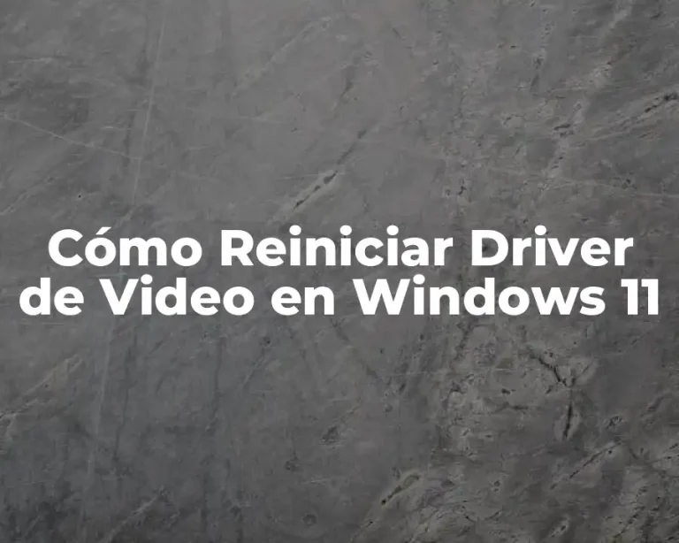Cómo Reiniciar Driver de Video en Windows 11