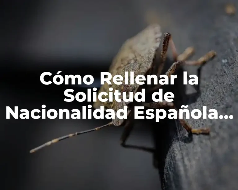 Cómo Rellenar la Solicitud de Nacionalidad Española por Residencia